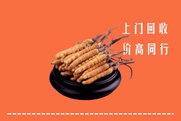 高价求购：内丘县回收散虫草