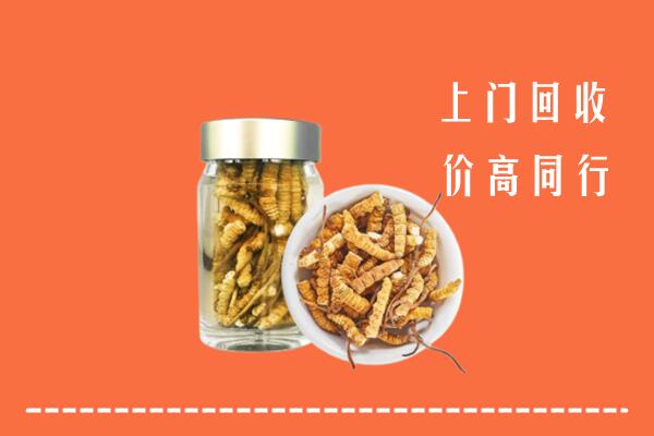 内丘县回收冬虫夏草
