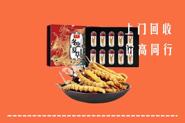 内丘县回收虫草